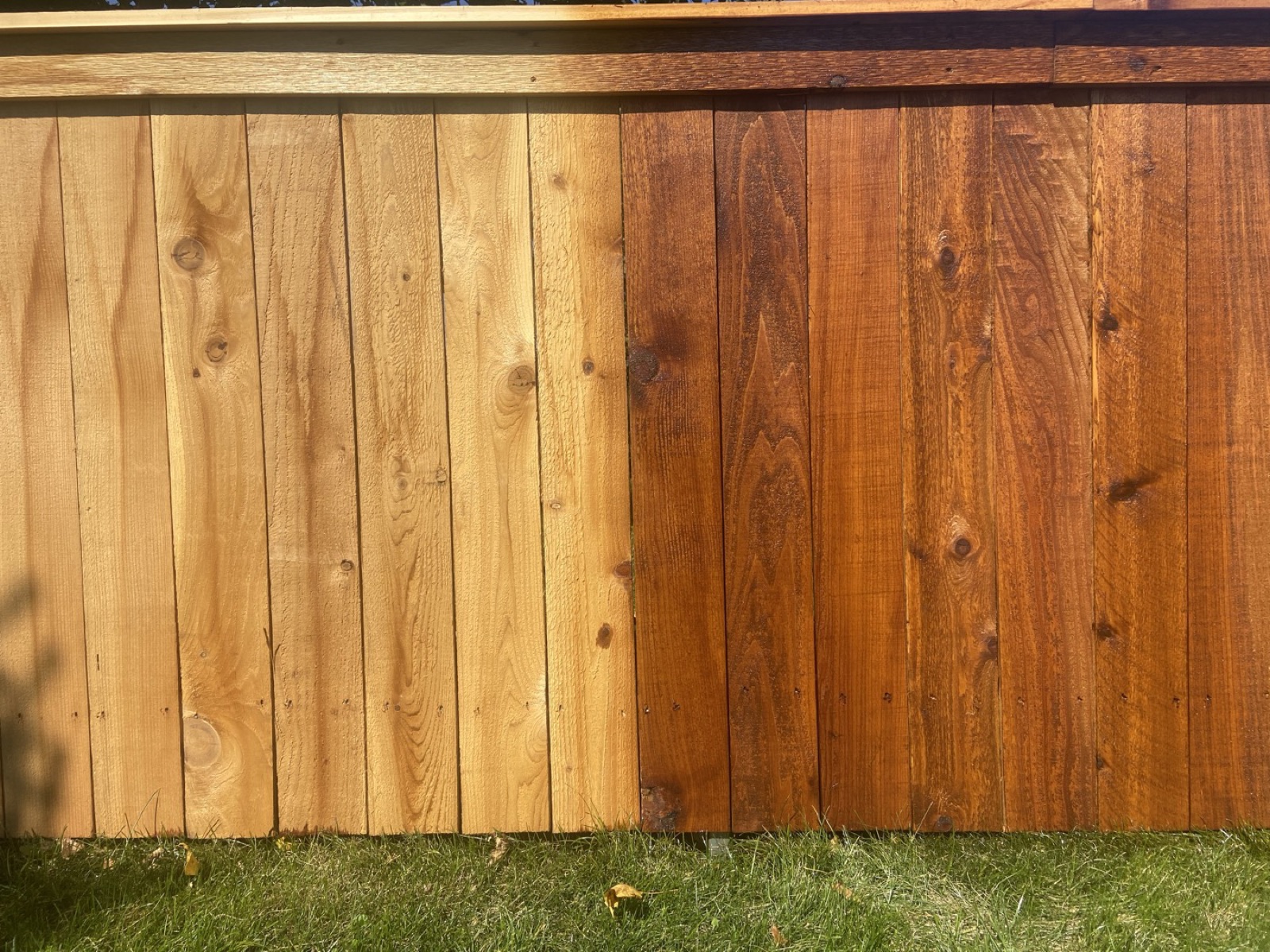 New fence with fresh stain