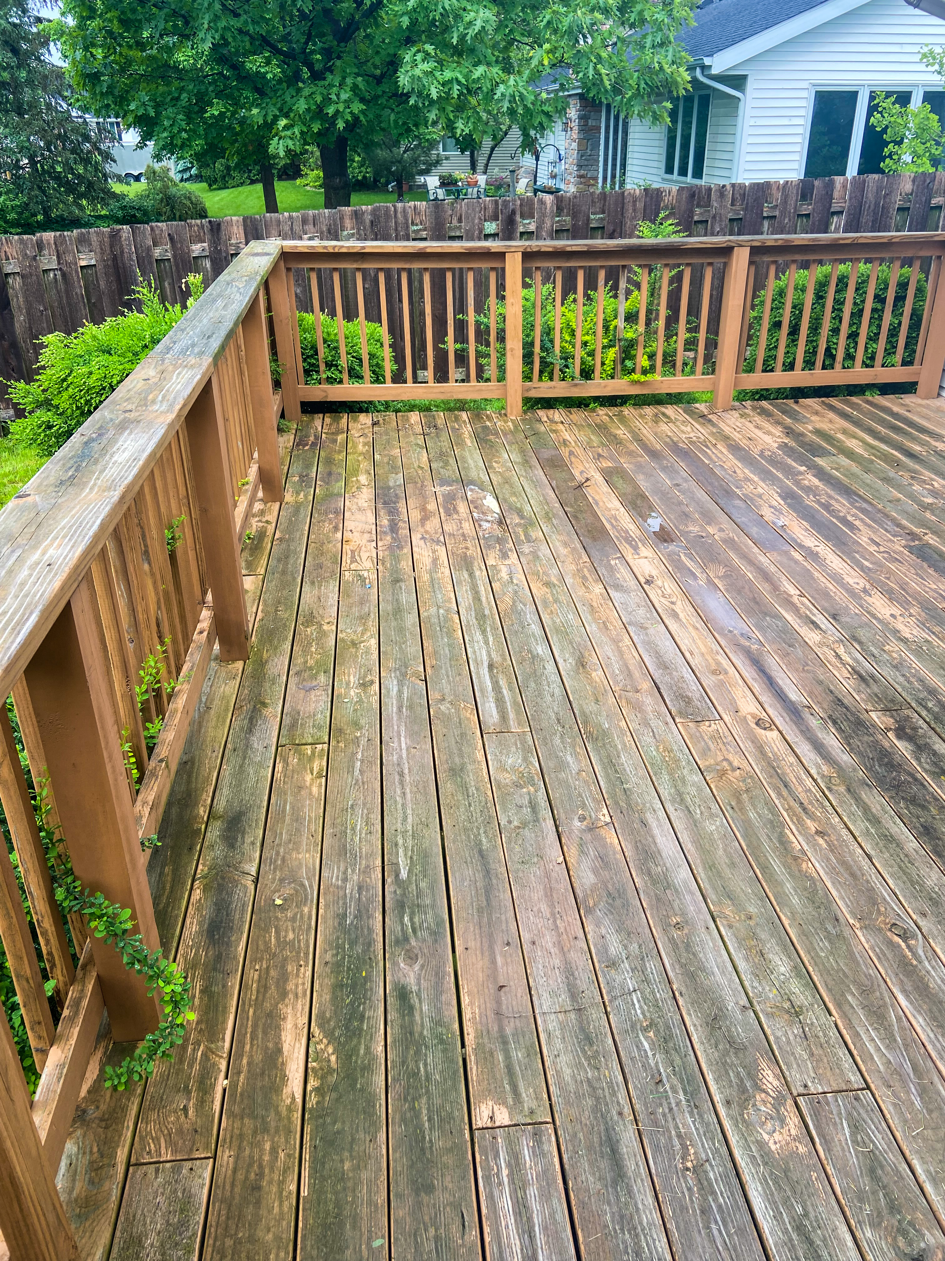 Deck before staining — Palomino