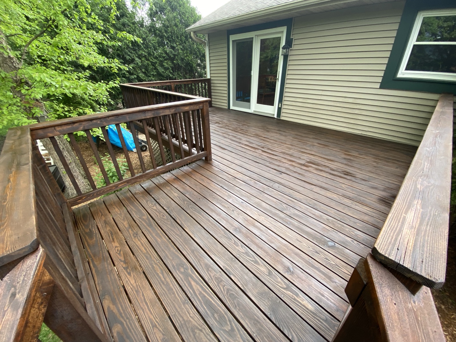 Walnut stain color